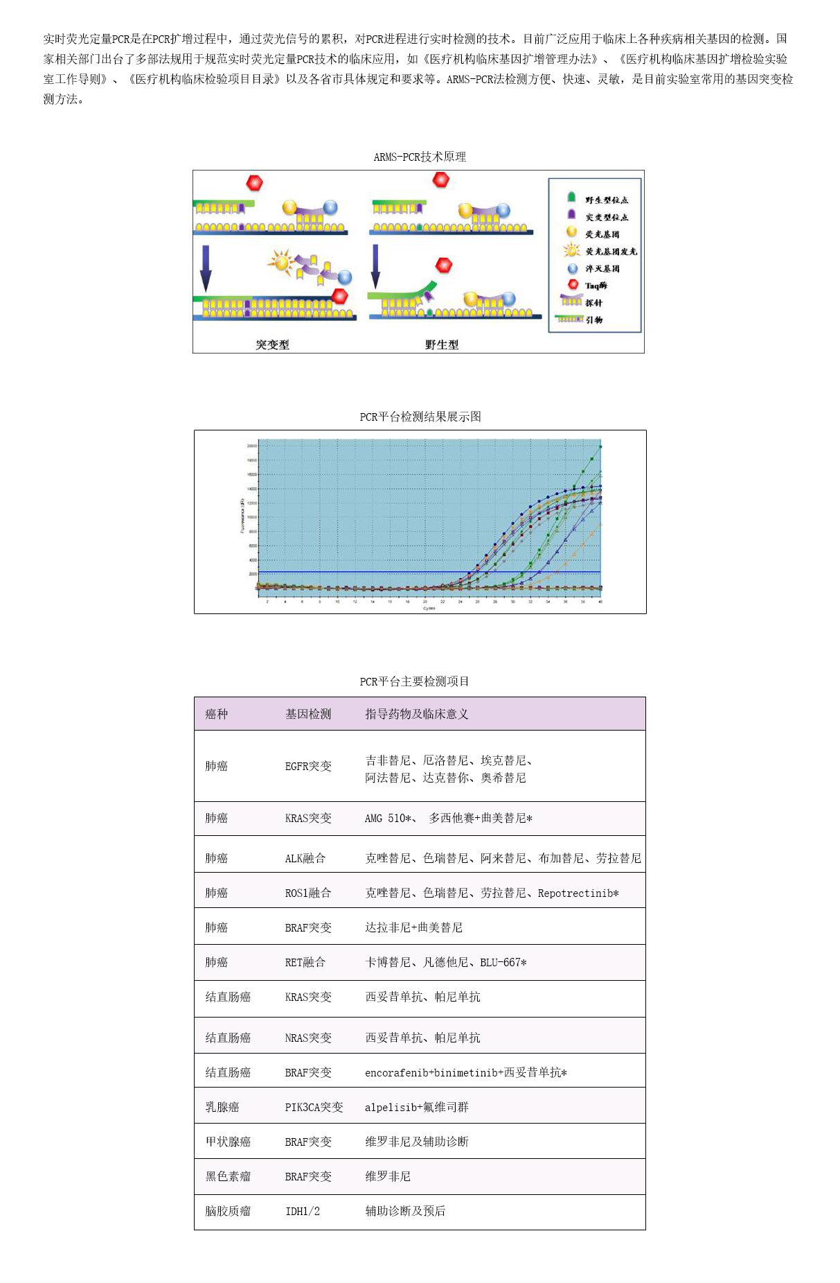 4檢測項(xiàng)目-PCR.jpg