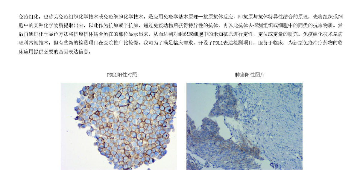 4檢測項(xiàng)目- IHC平臺.jpg